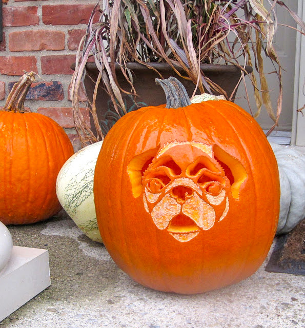 Boxer Pumpkin Carving Template