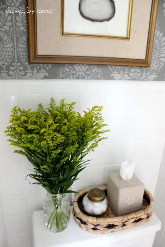 Our Stenciled Bathroom Budget Makeover Reveal! | Driven by Decor