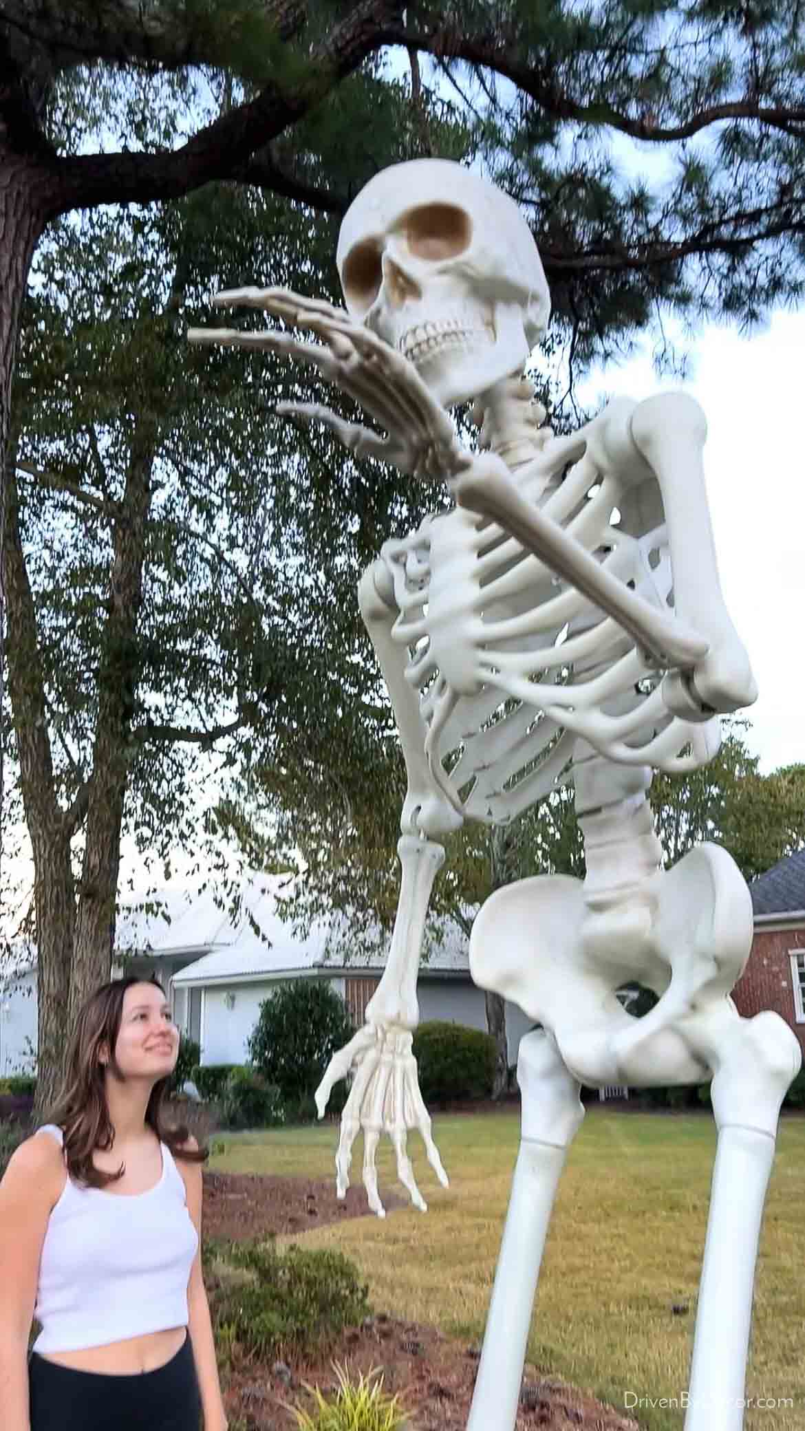 Giant skeleton in front yard next to person showing how tall it is