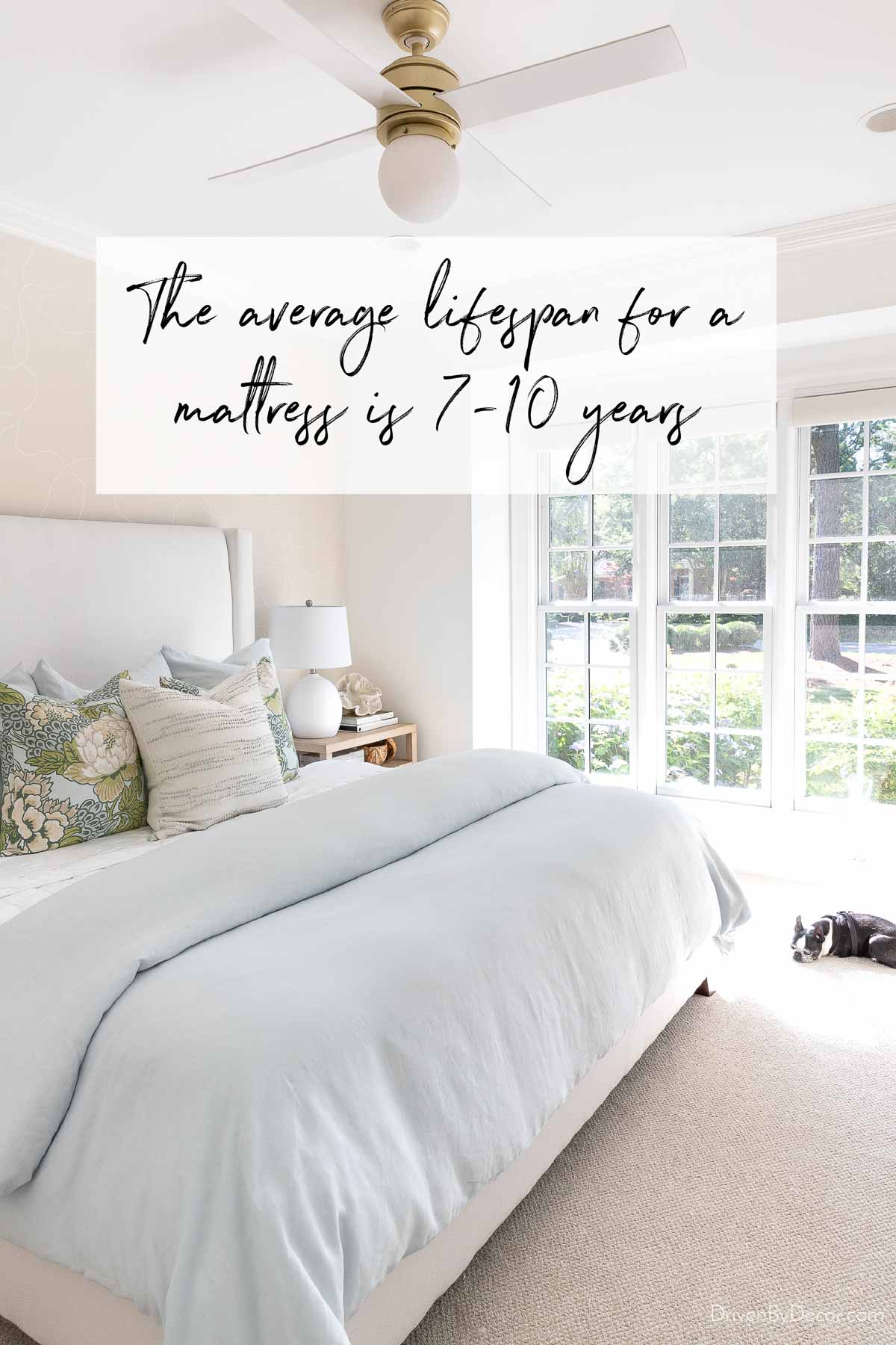 Your Mattress 101 Guide: Mattress Shopping, Cleaning, & More!